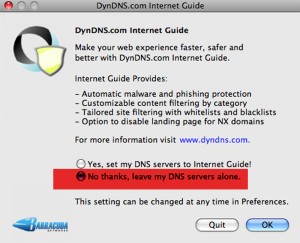 DynDNS updater client DNS screen