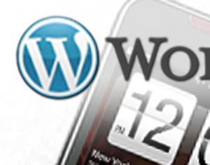 Be lazy AND efficient with the WordPress Mobile App